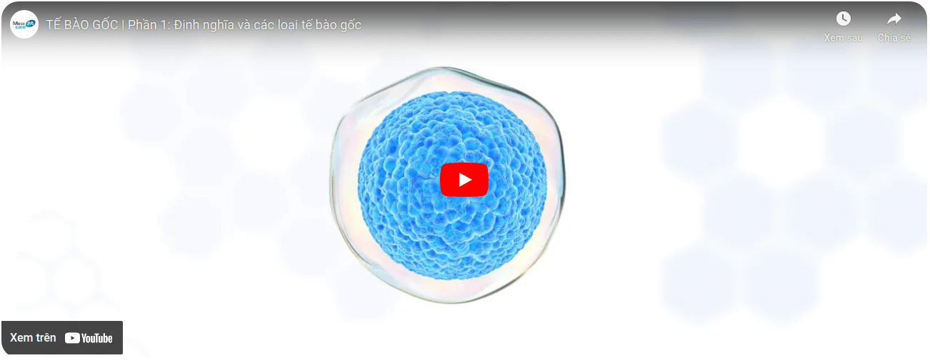 Dịch vụ tế bào gốc được tư vấn bởi Mirai Care