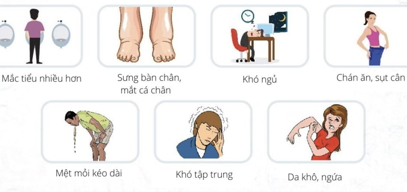 Điều trị bệnh suy thận bằng liệu pháp tế bào gốc