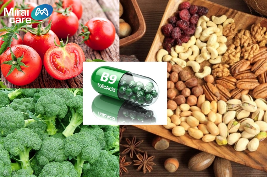 Folate (vitamin B9) có nhiều trong rau xanh, đậu lăng