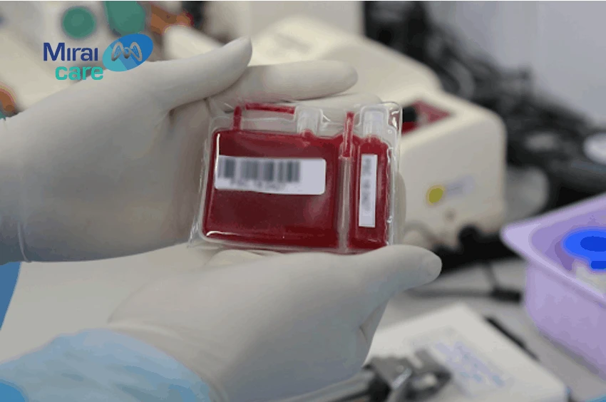 quy trình ghép tế bào gốc tạo máu