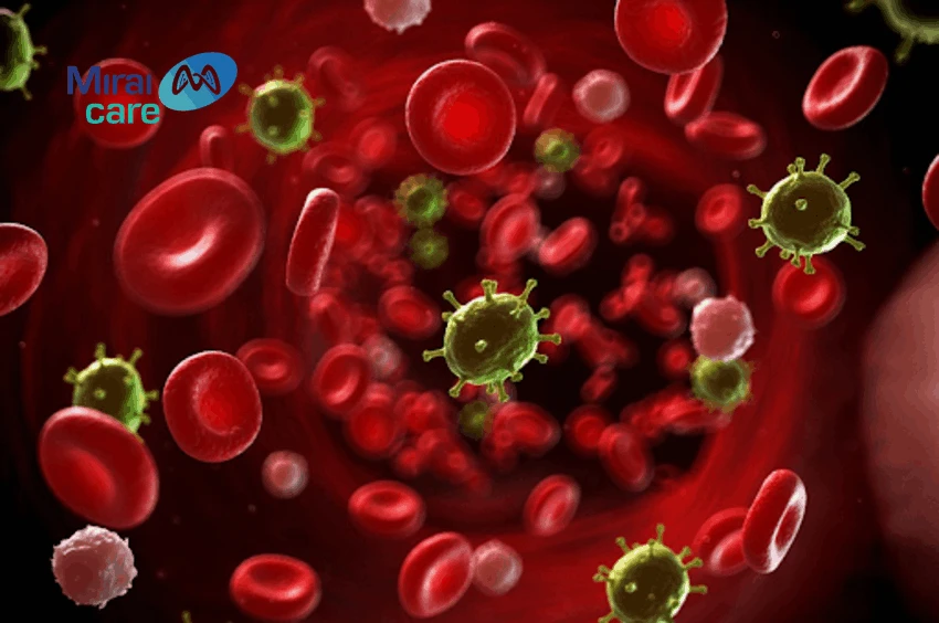 nguồn ghép tế bào gốc tạo máu