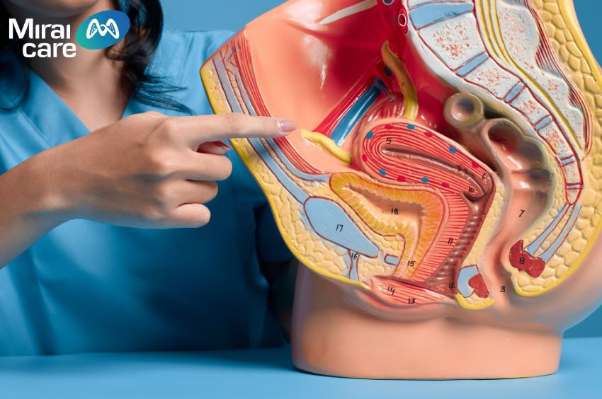 Hành vi tự kỷ có mối liên kết đặc biệt với hệ tiêu hoá
