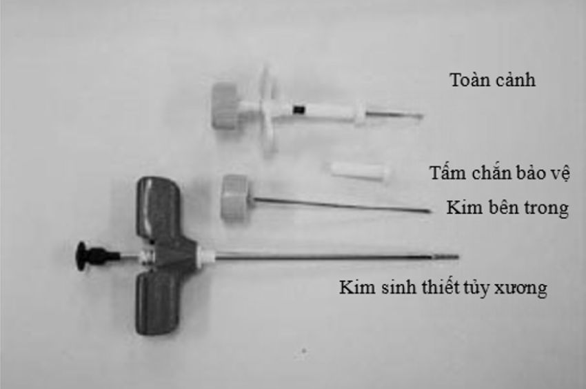 Kim sinh thiết và kim chọc dò tủy xương