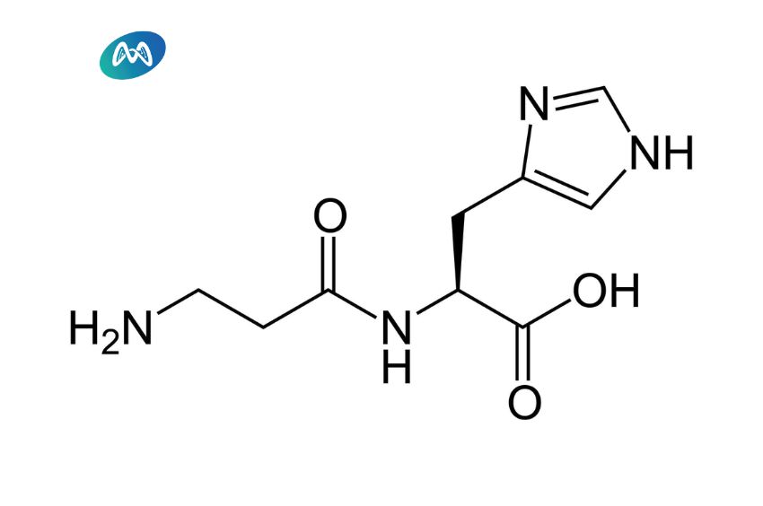 L-Carnosine giúp giảm stress oxy hóa trong não bộ của trẻ tự kỷ