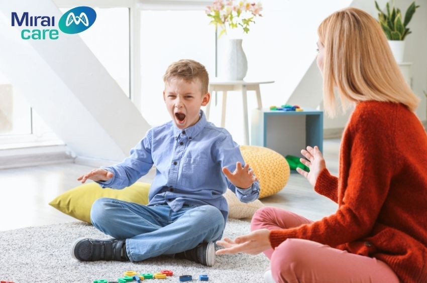 Mô hình ngôi nhà giao tiếp dành riêng cho những người làm việc với trẻ em gặp khó khăn trong giao tiếp