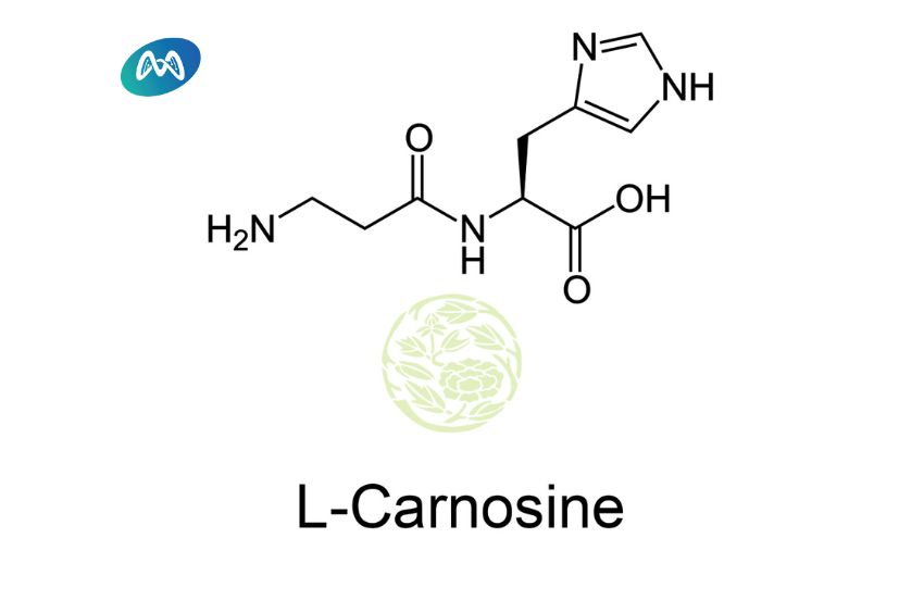 Một số lưu ý khi sử dụng L-Carnosine cho trẻ tự kỷ