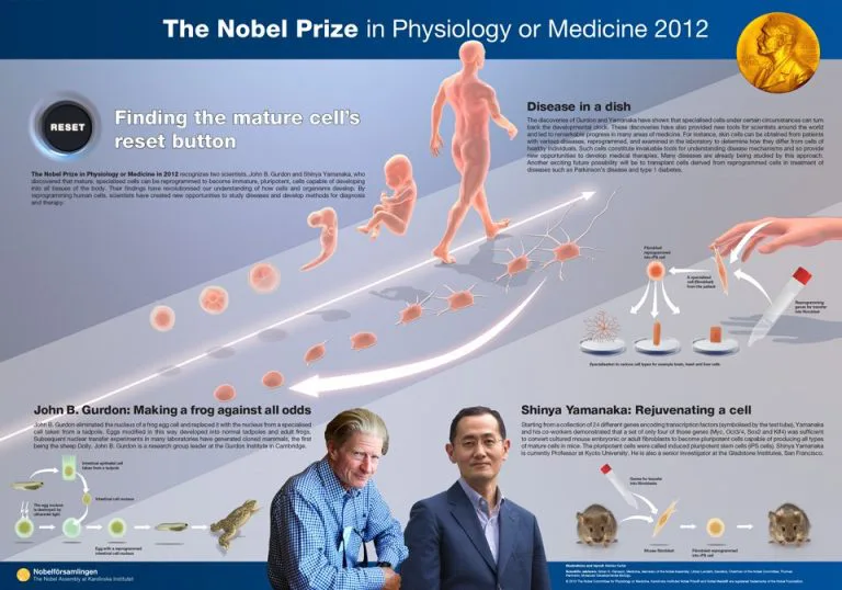 Giải nobel tế bào gốc năm 2012 của 2 nhà khoa học người Anh và người Nhật Bản