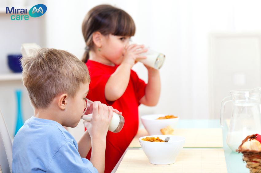 Sữa lạc đà được sử dụng như một phương pháp hỗ trợ, bổ sung thêm dinh dưỡng và hỗ trợ miễn dịch cho trẻ tự kỷ