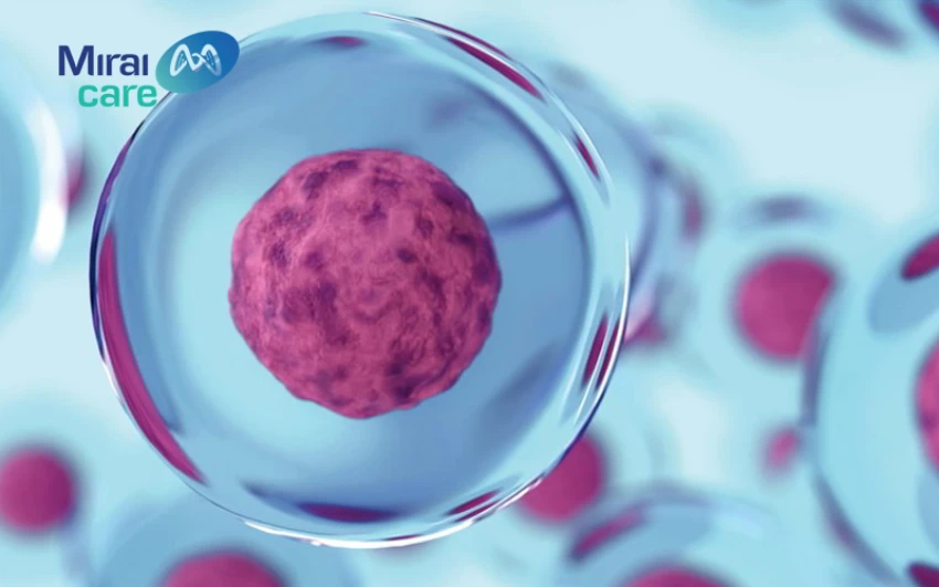 tế bào gốc là gì và ứng dụng