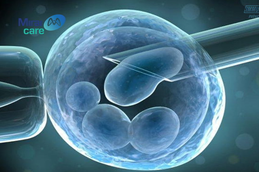 tế bào gốc tự thân là gì