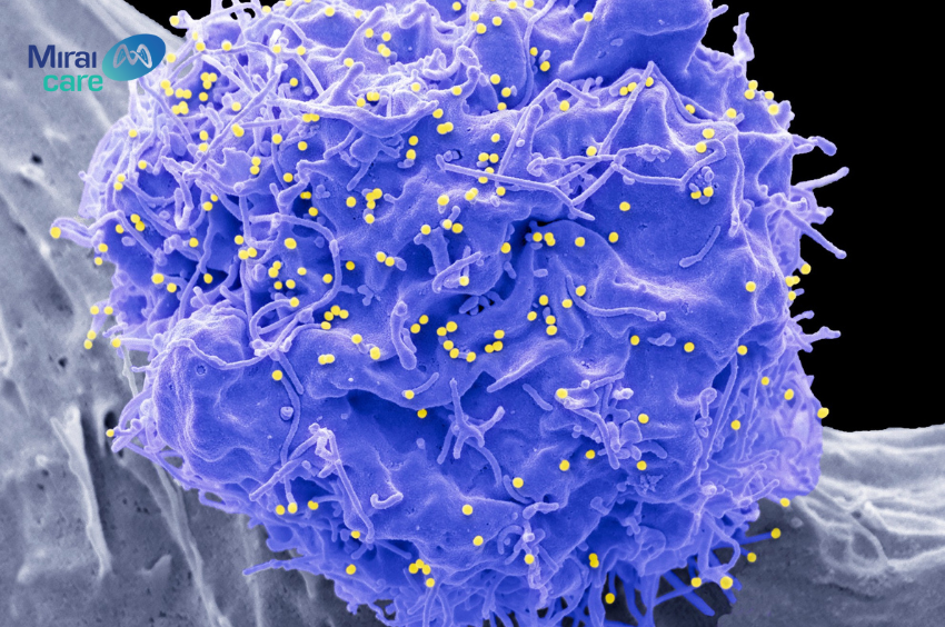 Tế bào gốc và Exosome - Ứng cử viên của nền y học hiện đại