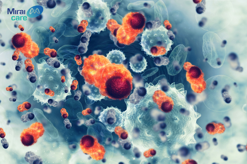 Tế bào nk trong cơ thể con người có tác dụng tiêu diệt virus và tế bào ung thư