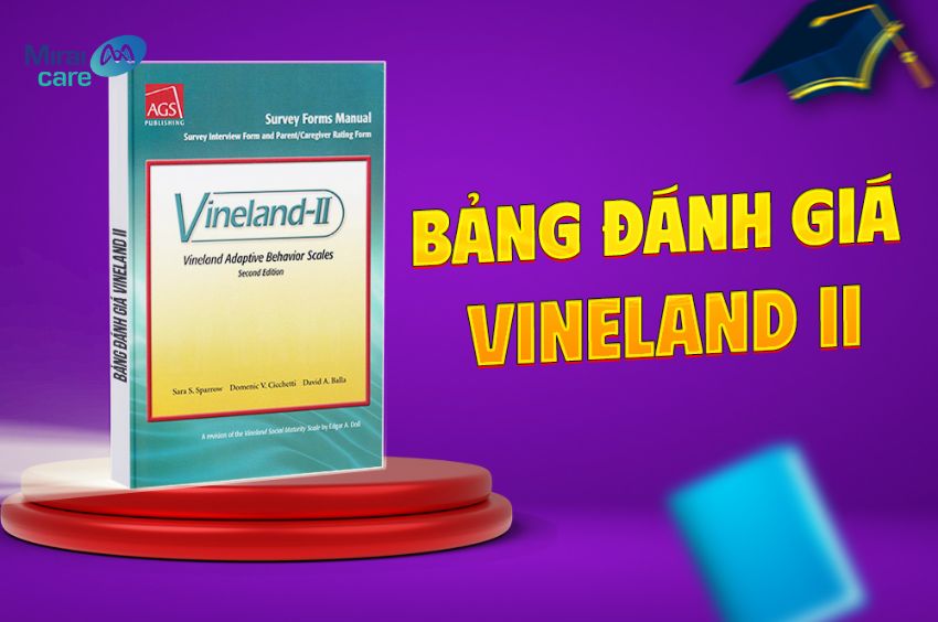 Thang đo h&agrave;nh vi th&iacute;ch ứng Vineland l&agrave; c&ocirc;ng cụ đ&aacute;nh gi&aacute; chuẩn h&oacute;a, được sử dụng rộng r&atilde;i trong t&acirc;m l&yacute; học