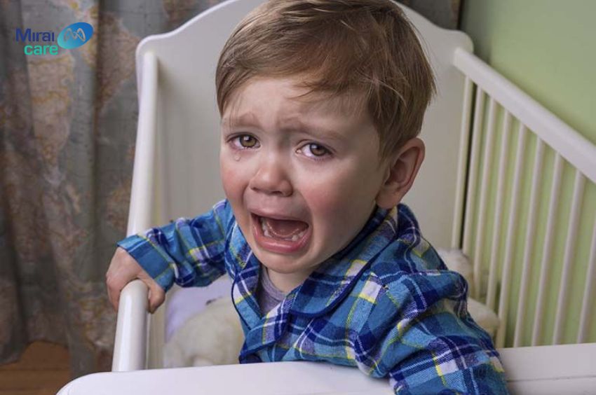 Trẻ tự kỷ ăn vạ do trẻ kh&ocirc;ng thể biểu đạt mong muốn của m&igrave;nh