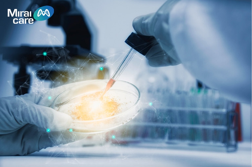 Trị liệu bằng tế bào gốc là phương pháp y khoa đặc thù và yêu cầu về chuyên môn cao