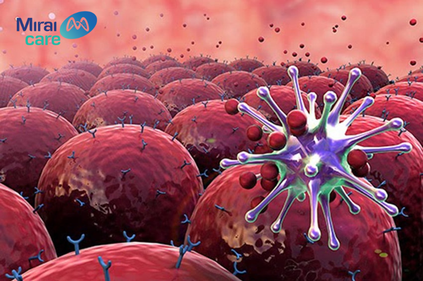 Trong bệnh dị ứng, tế bào NK giữ vai trò tương đối quan trọng