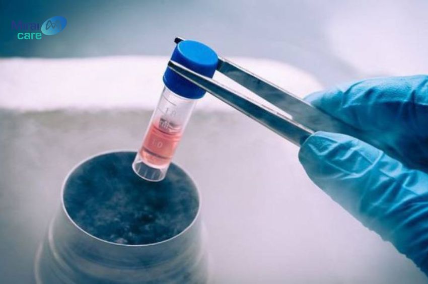 Trị liệu tế b&agrave;o gốc phục hồi v&agrave; sửa chữa c&aacute;c phần tế b&agrave;o n&atilde;o bị tổn thương.