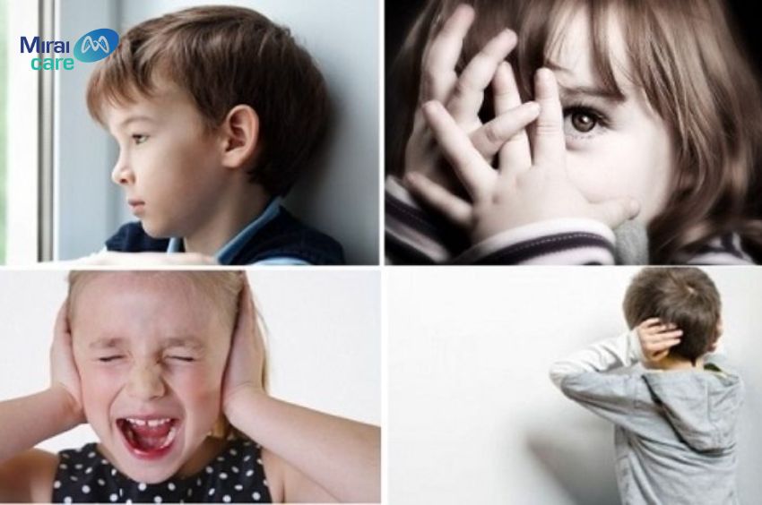 Phần lớn người tự kỷ mức độ 3 gặp t&igrave;nh trạng rối loạn xử l&yacute; gi&aacute;c quan