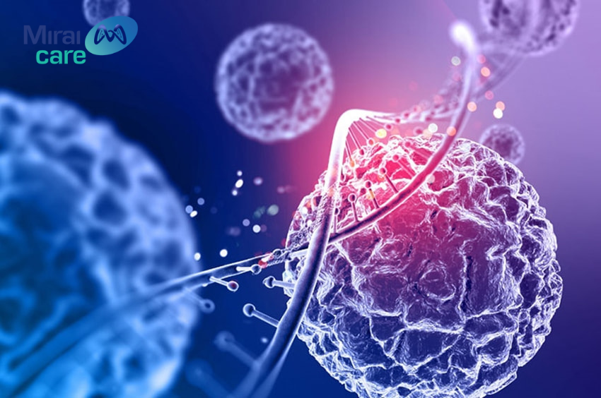 Ứng dụng của tế bào NK trong bệnh dị ứng vẫn đang được nghiên cứu
