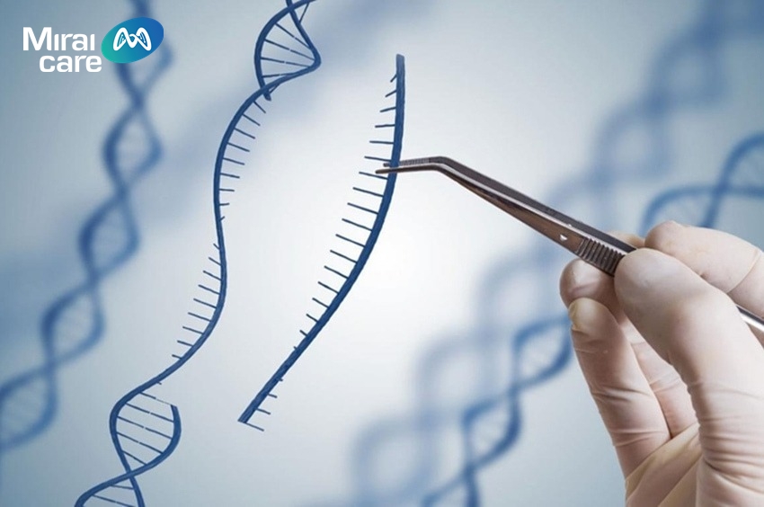 Ứng dụng tế bào gốc chữa ADHD được các chuyên gia đánh giá có tiềm năng cao 