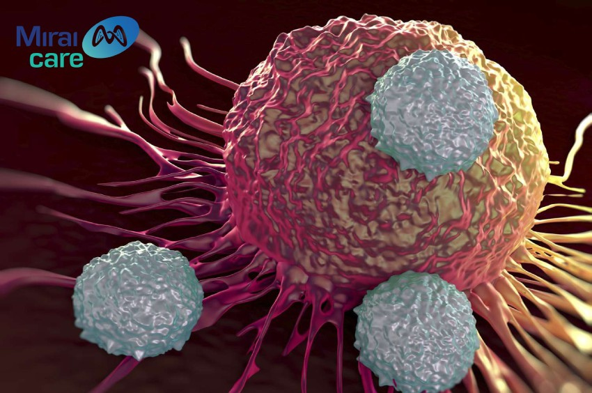Ung thư hình thành khi các tế bào bị lỗi