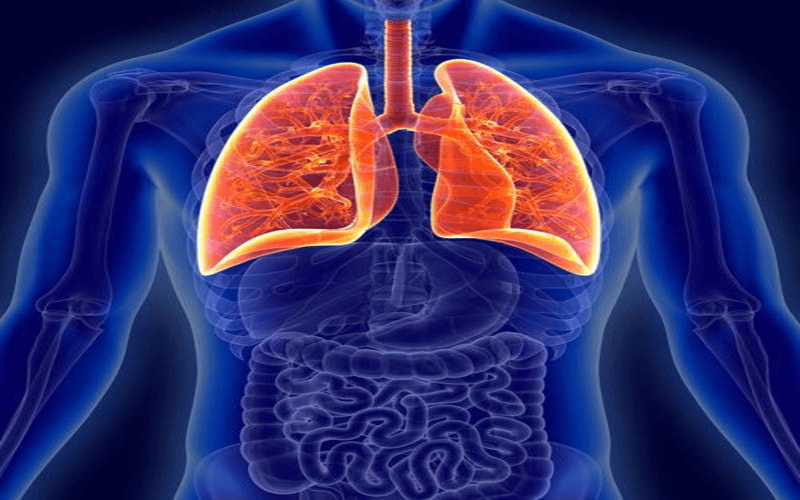 ung thư phổi giai đoạn 4 có tỷ lệ sống sót như thế nào