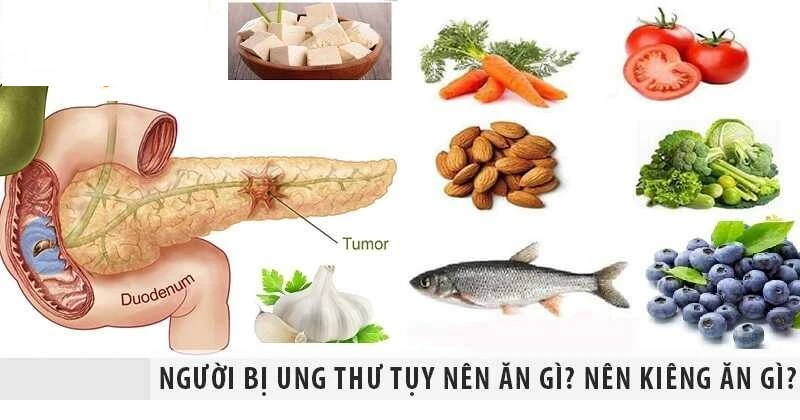 6. Tài Nguyên và Hỗ Trợ Thêm