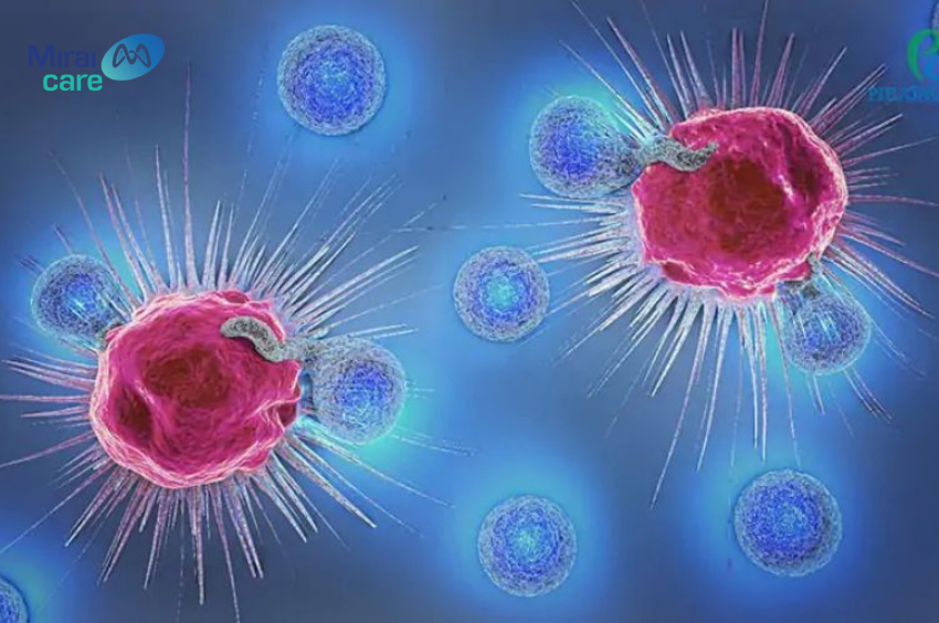Vai trò tế bào nk trong bệnh viêm khớp