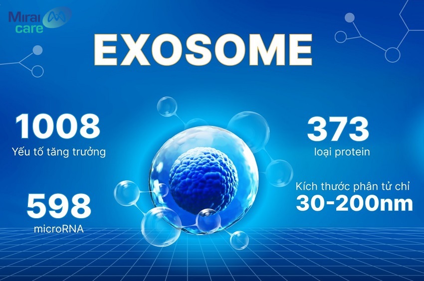 Exosome và tế bào gốc: Sự khác biệt và tiềm năng ứng dụng