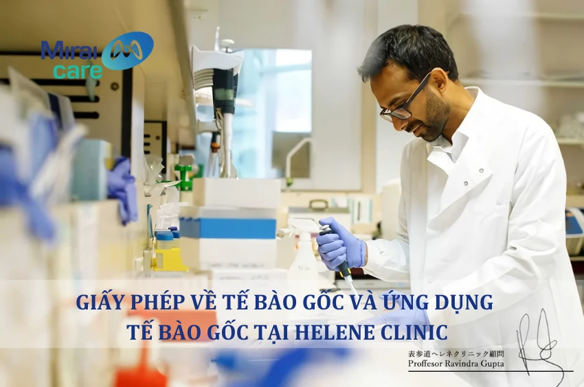 Giấy phép về tế bào gốc và ứng dụng tế bào gốc điều trị bệnh của Helene Clinic