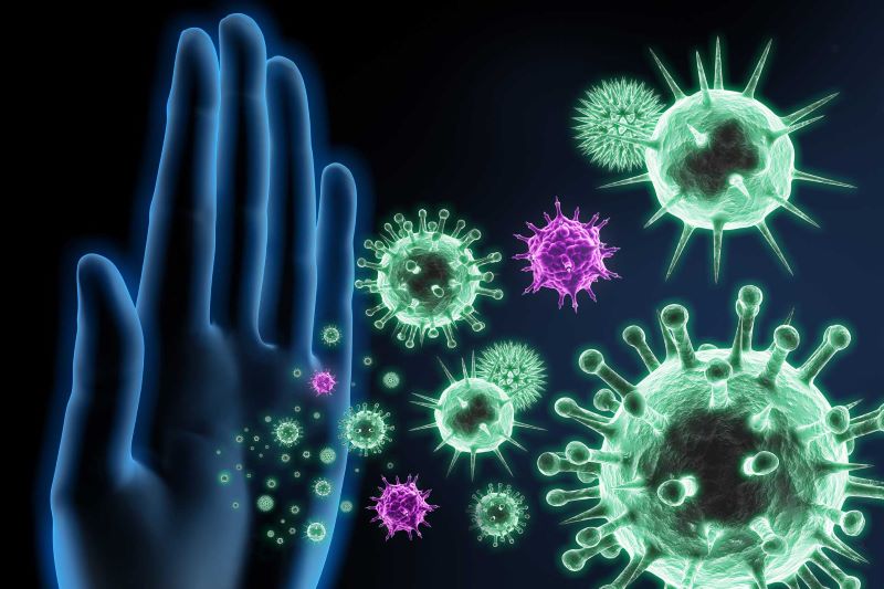 Hệ miễn dịch và vai trò hệ miễn dịch trong cơ thể con người