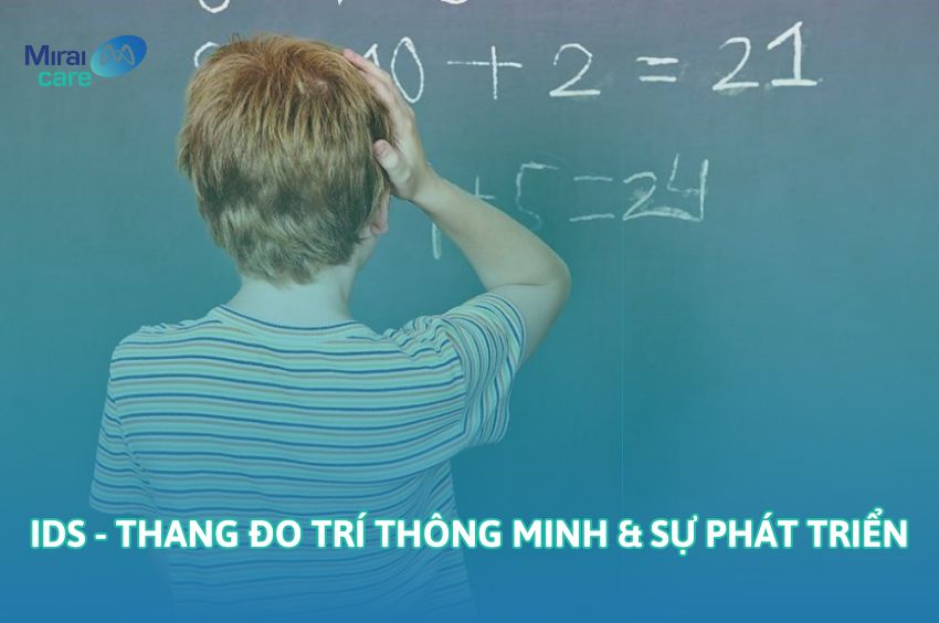 Tất tần tật về IDS - Thang đo trí thông minh và sự phát triển