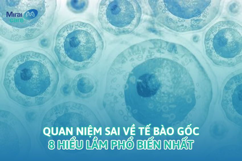 Quan Niệm Sai Về Tế Bào Gốc: 8 Hiểu Lầm Phổ Biến Nhất