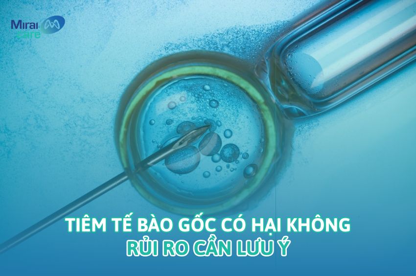 Tế b&agrave;o gốc