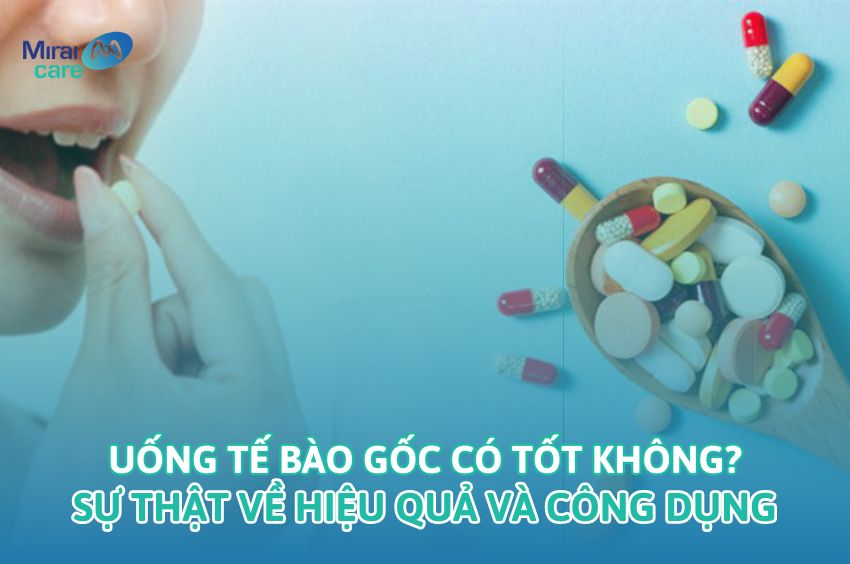 Tế b&agrave;o gốc