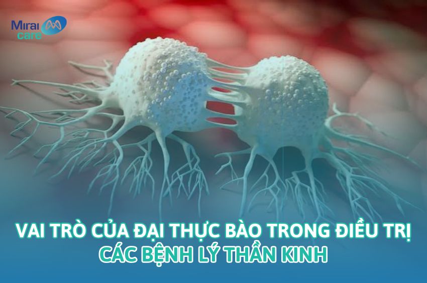 Vai Trò Của Đại Thực Bào Trong Điều Trị Bệnh Thần Kinh